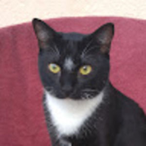 Meet your Posher, Tabitha